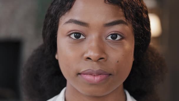 Žena portrét uvnitř sama vážné klid sebevědomí Afroameričanky podnikatelka internistka studentka s perfektní kůže žena dívá na kameru v kanceláři pracovní prostor doma šikana rasismus feminismus — Stock video