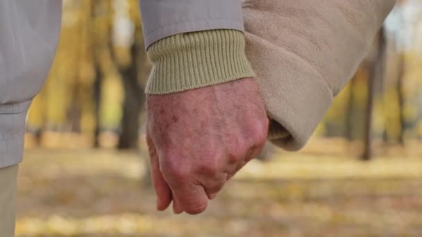 近两只手皱着老年夫妇手挽手浪漫的姿态中老年外公外婆成熟的伴侣支持婚姻关系爱心团聚在秋天公园户外 — 图库视频影像