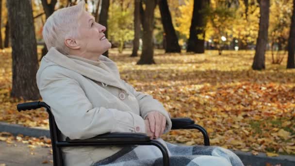 車椅子でゆったりと秋の公園に座っている幸せの屋外の高齢者の中年女性は喜んで車椅子に座っている病気のシングル孤独な成熟した高齢者の白髪の老婦人は笑顔楽しい暖かい天気を楽しむ良い感じ — ストック動画