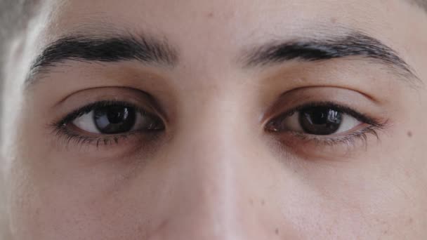 Extrem Närbild Manligt Ansikte Ung Arabiska Latinamerikansk Man Stilig Modell — Stockvideo