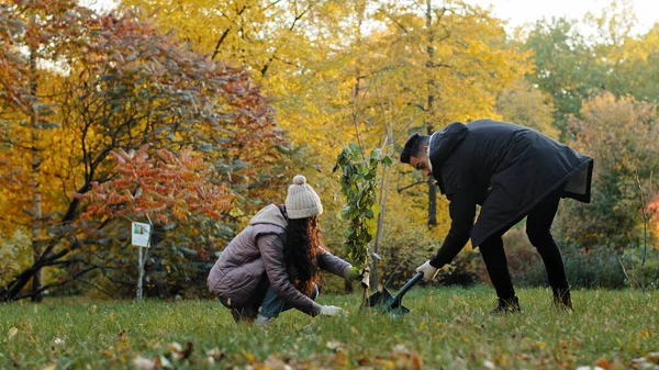 Joven Pareja Chico Chica Eco Activistas Plantar Árbol Parque Dedicado — Foto de Stock