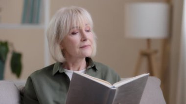 Hayalperest, yaşlı, olgun, yaşlı bir kadından esinlendim. Kanepede oturmuş kitap okuyor, kitap okuyor, eski nesil bilgeliğini öğreniyor. Kadınlar oturma odasında hobilerinden hoşlanıyor.
