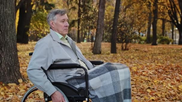 心烦意乱的苦思冥想的高加索男性祖父坐在秋天公园的轮椅上悲伤而严肃的老年人退休后有健康问题的退休人员感到忧心忡忡孤独地在外面休息 — 图库视频影像