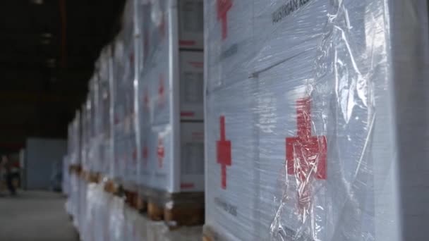 Kharkiv Kharkov Region Rogan Ukraine 2022 Red Cross Volunteer Warehouse — Stock Video