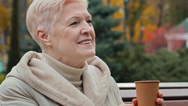 Tasasız Hayalperest Olgun Parkta Dinlenen Yaşlı Bir Kadın Yaşlardaki Orta — Stok video