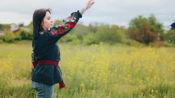 Elegante Elegante Elegante Menina Atraente Fêmea Patriota Modelo Usa Ukrainian — Vídeo de Stock