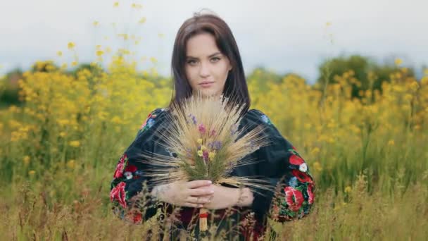 美丽的性感女子的画像 时尚的高加索女人身穿乌克兰传统图案的黑色连衣裙 站在自然田里 手捧野花 手捧花 手捧干青草 — 图库视频影像