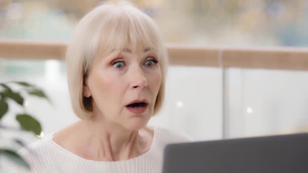 Close Surprised Excited Mature Woman Looking Laptop Screen Middle Aged — Stock video