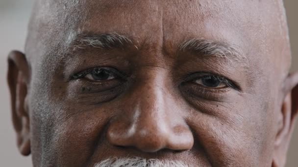 Close Male Dark Eyes Wrinkled Face African American Old Man — Wideo stockowe