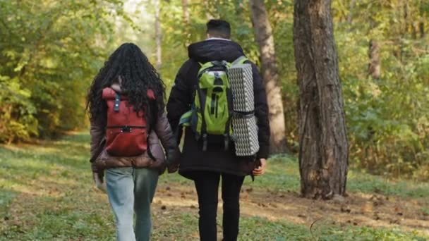 Взгляд Сзади Молодой Супружеской Пары Влюбленных Туристов Прогуливающихся Лесу Рюкзаком — стоковое видео
