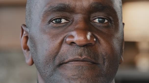 Close Portrait African Man Concentrated Human Male Wrinkled Stubbly Face — Αρχείο Βίντεο