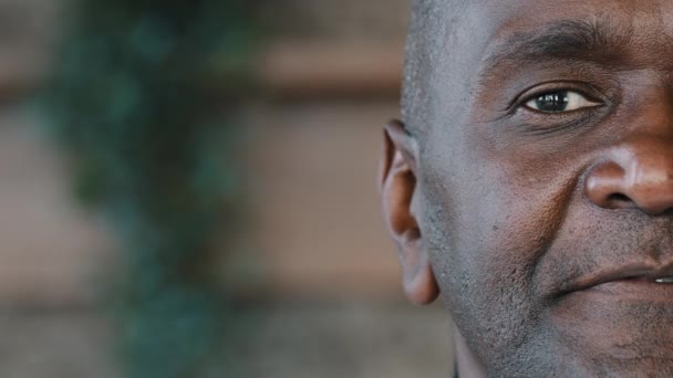 Close Detail Half Face Human Sad Eyesight Male Portrait African — Wideo stockowe