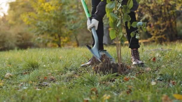 Close Unrecognizable Male Eco Activist Volunteer Social Project Support Nature — 图库视频影像