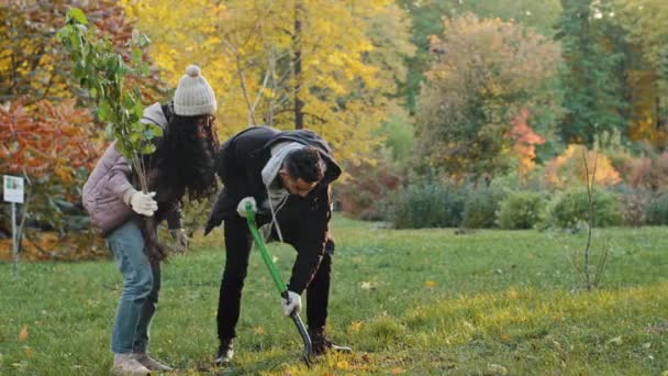 Gruptakiler Gönüllü Çevreciler Sonbahar Parkında Ağaç Dikiyorlar Toprağa Kürek Eken — Stok video
