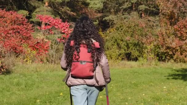 Back View Young Long Haired Curly Woman Backpacker Travels Backpack — стоковое видео