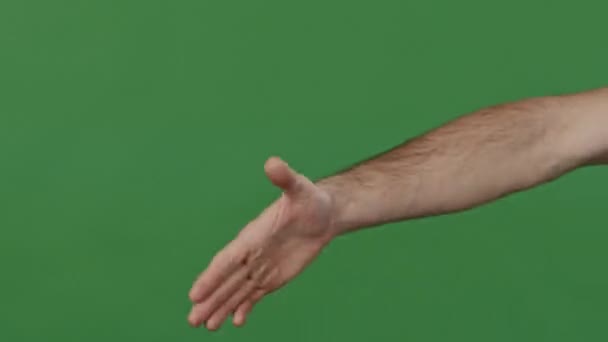 Close Studio Green Background Part Human Body Two Young Men — Stok video