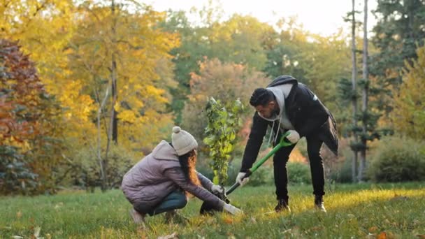 Group Young People Volunteers Environmental Protection Organizations Plant Tree Autumn — Vídeo de Stock