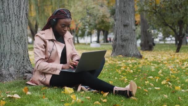 Young Focused Female Student Freelancer Sitting Autumn Park Tree Working — Video
