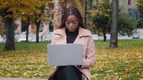 Young Focused African American Woman Writer Journalist Sitting Autumn Park — Vídeo de stock