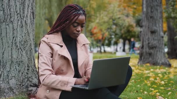 Focused Young Stylish African American Woman Freelancer Writer Journalist Typing — Stock videók
