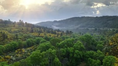 Aerial drone view beautiful tropical valley between mountains Serra de Estrella in Portugal first rays of rising sun clouds fog sunset hit trees crowns road highway in forest hill summer weather. High