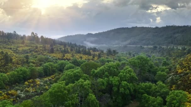 Aerial Drone View Beautiful Tropical Valley Mountains Serra Estrella Portugal — стокове відео