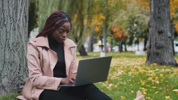 Νεαρή Αφρικανή Αμερικανίδα Ελεύθερη Επαγγελματίας Που Εργάζεται Εξωτερικούς Χώρους Laptop — Αρχείο Βίντεο