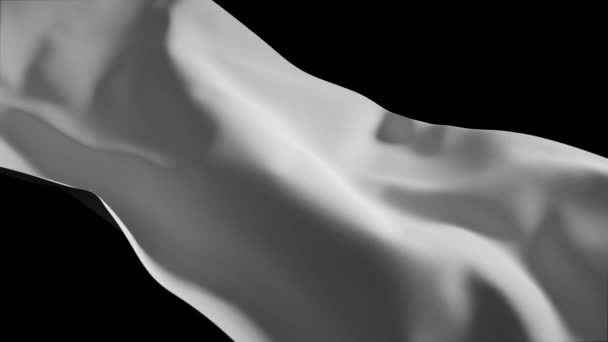 Движущаяся Волна Текстуры Черно Белого Материала Конструкция Движения Волнистого Холста — стоковое видео