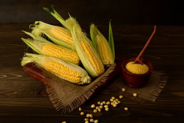 Corn cobs and grains on rough fabric napkins. Small wooden pot with corn grits on brown wooden table.