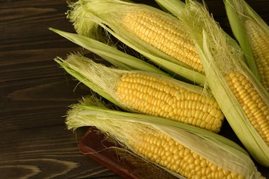 Raw corn cobs on wooden table.