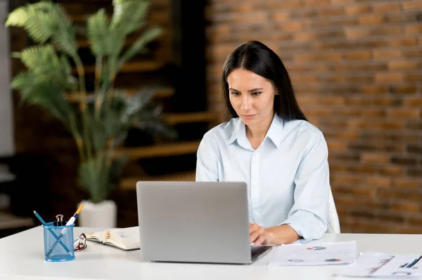 Krásný úspěšný chytrý zaměřený mladý dospělý běloch brunetka obchodní žena, manažer nebo finanční poradce sedí u stolu v kanceláři, na sobě stylové oblečení, pomocí notebooku — Stock fotografie