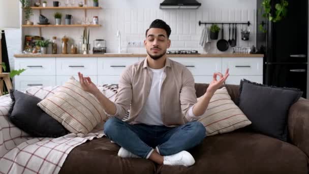 Happy Positive Calm Relaxed Indian Arabian Man Casual Clothes Sitting — Stok video