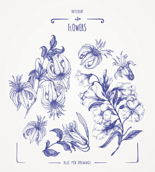 Flores diferentes — Archivo Imágenes Vectoriales