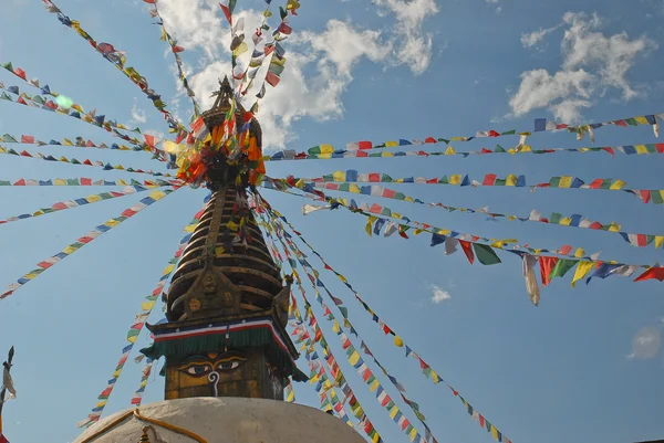 Budha gözleri — Stok fotoğraf