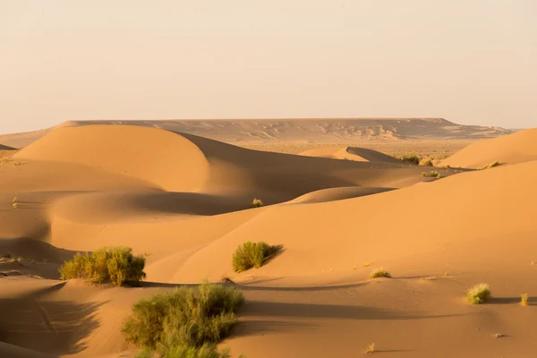 Desert Dasht-e Kavir no Irão — Fotografia de Stock