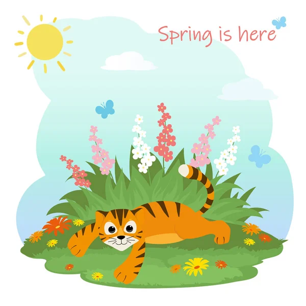 可爱的小虎宝宝在草丛中,长着花朵和蝴蝶.概念你好春天。2022年的象征。春天的几个月里可爱的卡通老虎的病媒图解 — 图库矢量图片