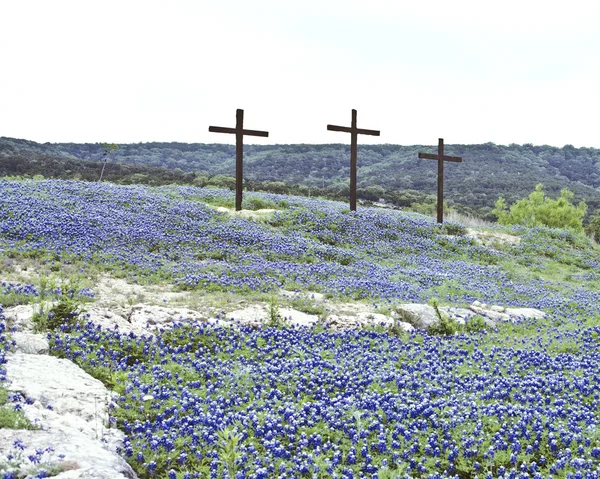 Three Crosses in Bluebonnets Stock Image