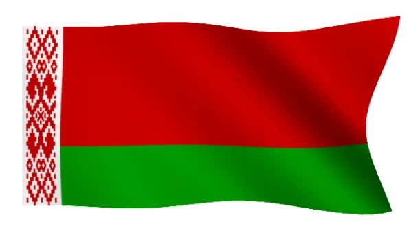 Bandera de Belarus — Vídeo de stock