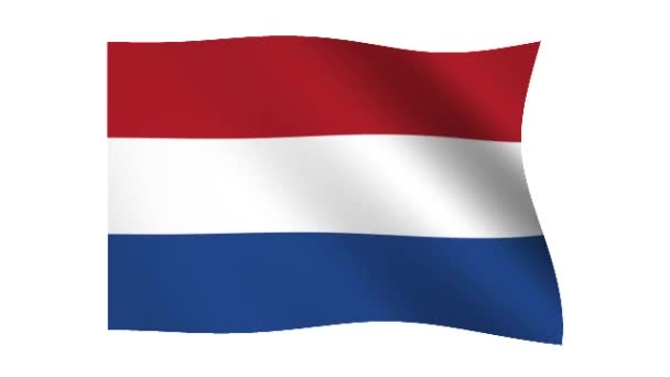 Flagga holland — Stockvideo