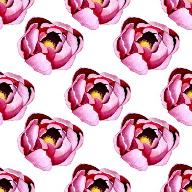 Gül ve suluboya desenli kusursuz çiçek deseni.