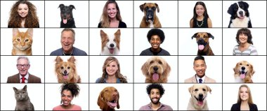 İnsanlarla birlikte bir grup köpek.