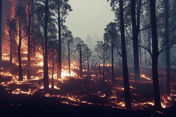 Forest fire. Nature disaster, ecology catastrophe.