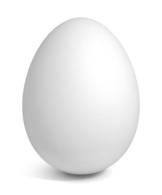 White egg clipart