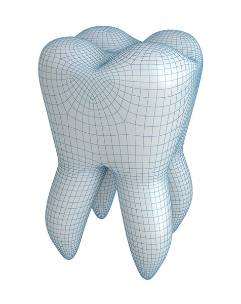 Tooth on white — Stock Photo, Image