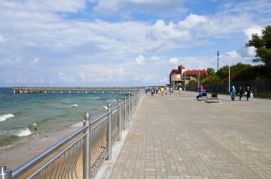 Zelenogradsk içinde mesire. Kaliningrad bölgesi