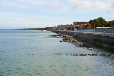 Zelenogradsk içinde mesire. Kaliningrad bölgesi