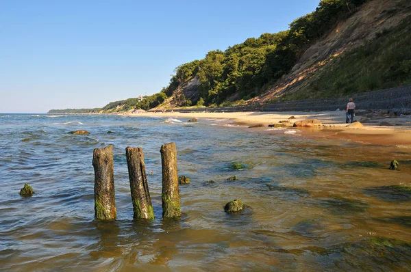 Côte de la mer Baltique. Svetlogorsk — Photo