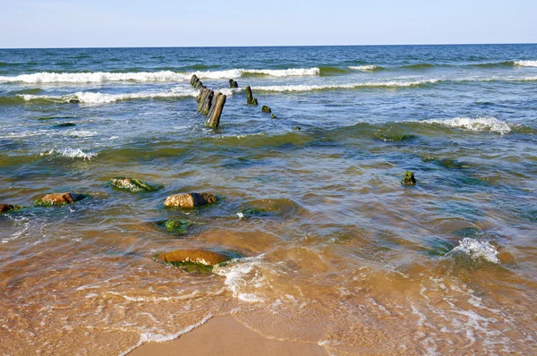 Playa del mar Báltico —  Fotos de Stock