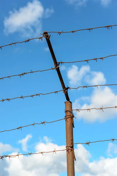 Barbed wire — Stock Photo, Image