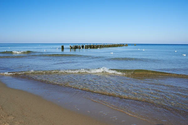 Plage de la mer Baltique à Svetlogorsk — Photo